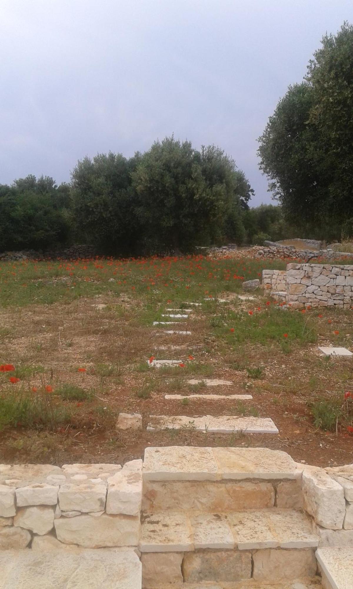 Вілла Trullo Alto Salento Чистерніно Екстер'єр фото