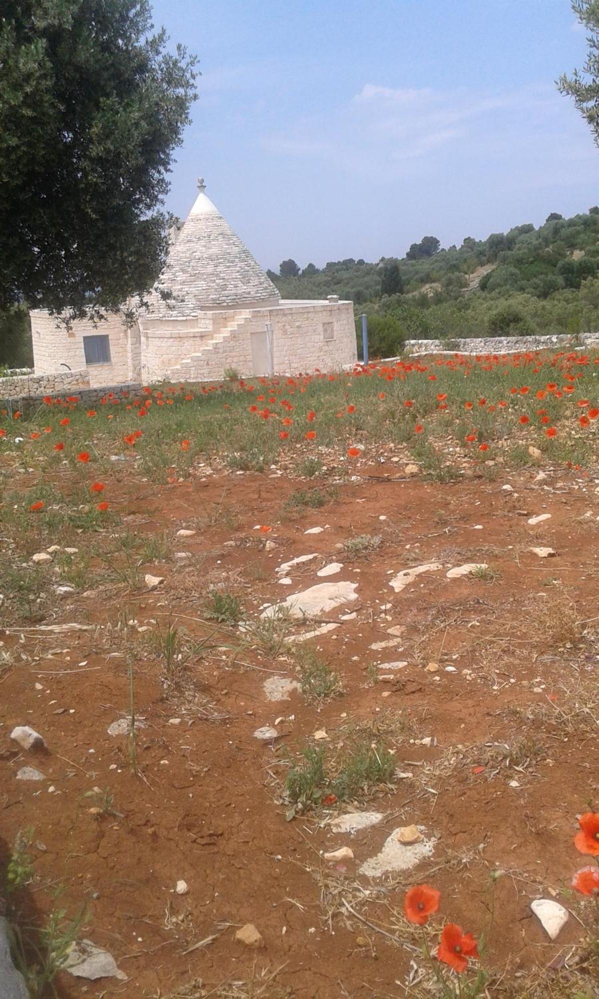 Вілла Trullo Alto Salento Чистерніно Екстер'єр фото